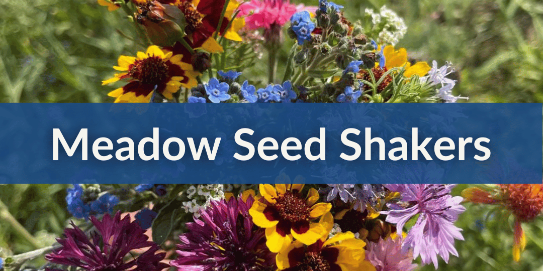 Meadow Seed Shakers (1).png__PID:778abe9c-b8ba-4e29-8905-adc2ff1b77b7