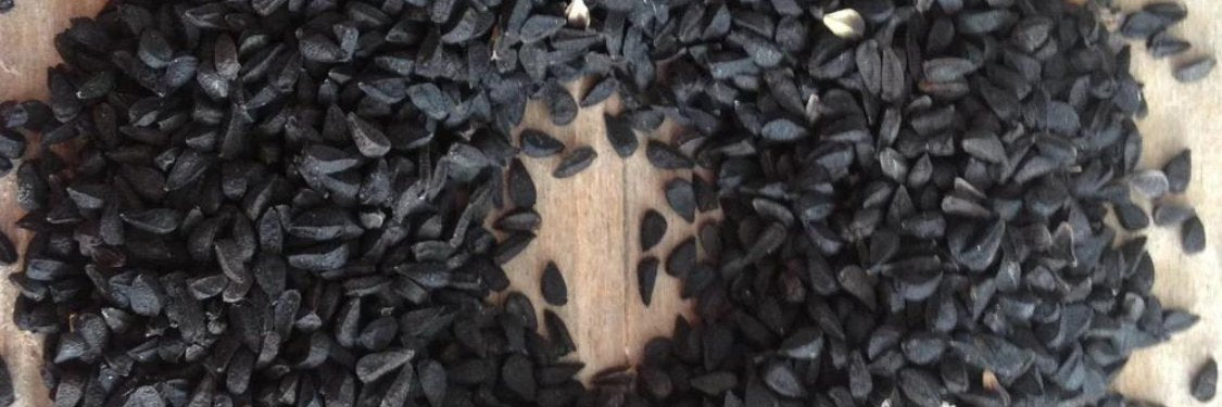 Cumin | Hudson Valley Seed Company