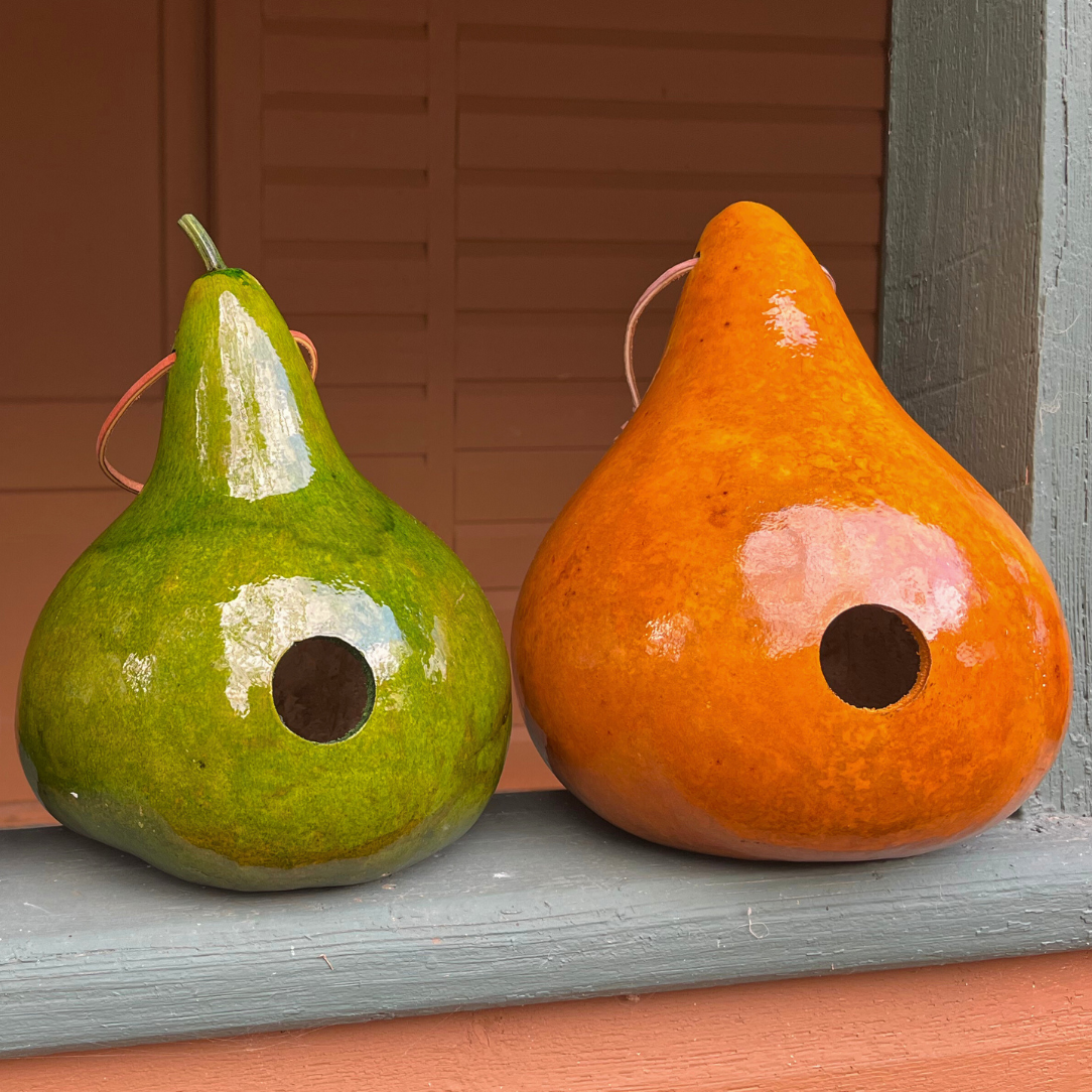 Gourd Bird House – Hudson Valley Seed Company