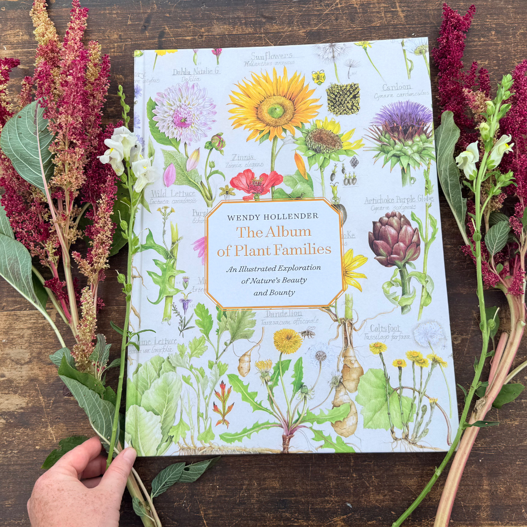The Album of Plant Families