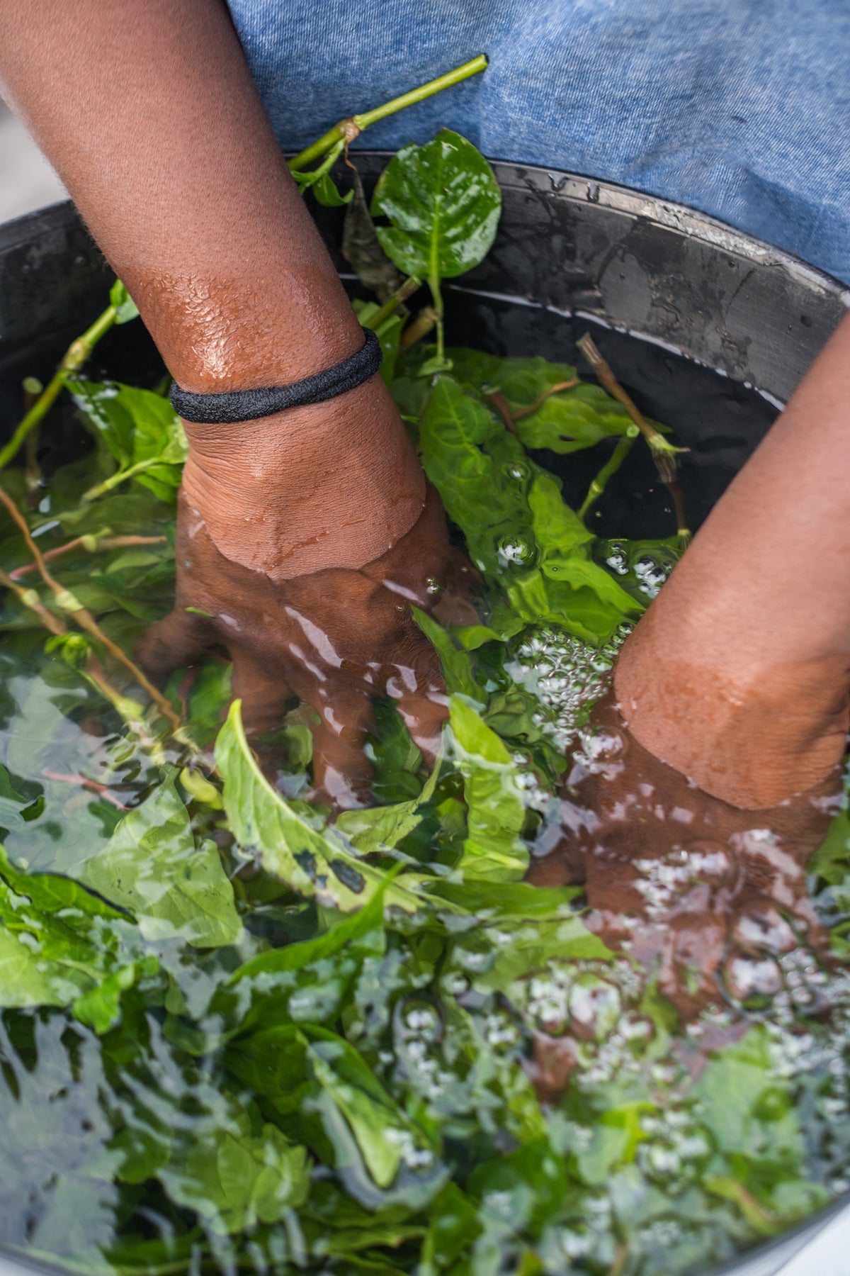 Indigo Processing with Sola Market - Oct 17 - 1:30pm