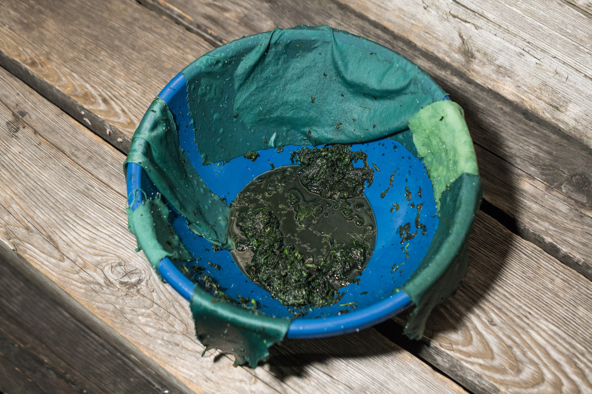Indigo Processing with Sola Market - Oct 17 - 1:30pm