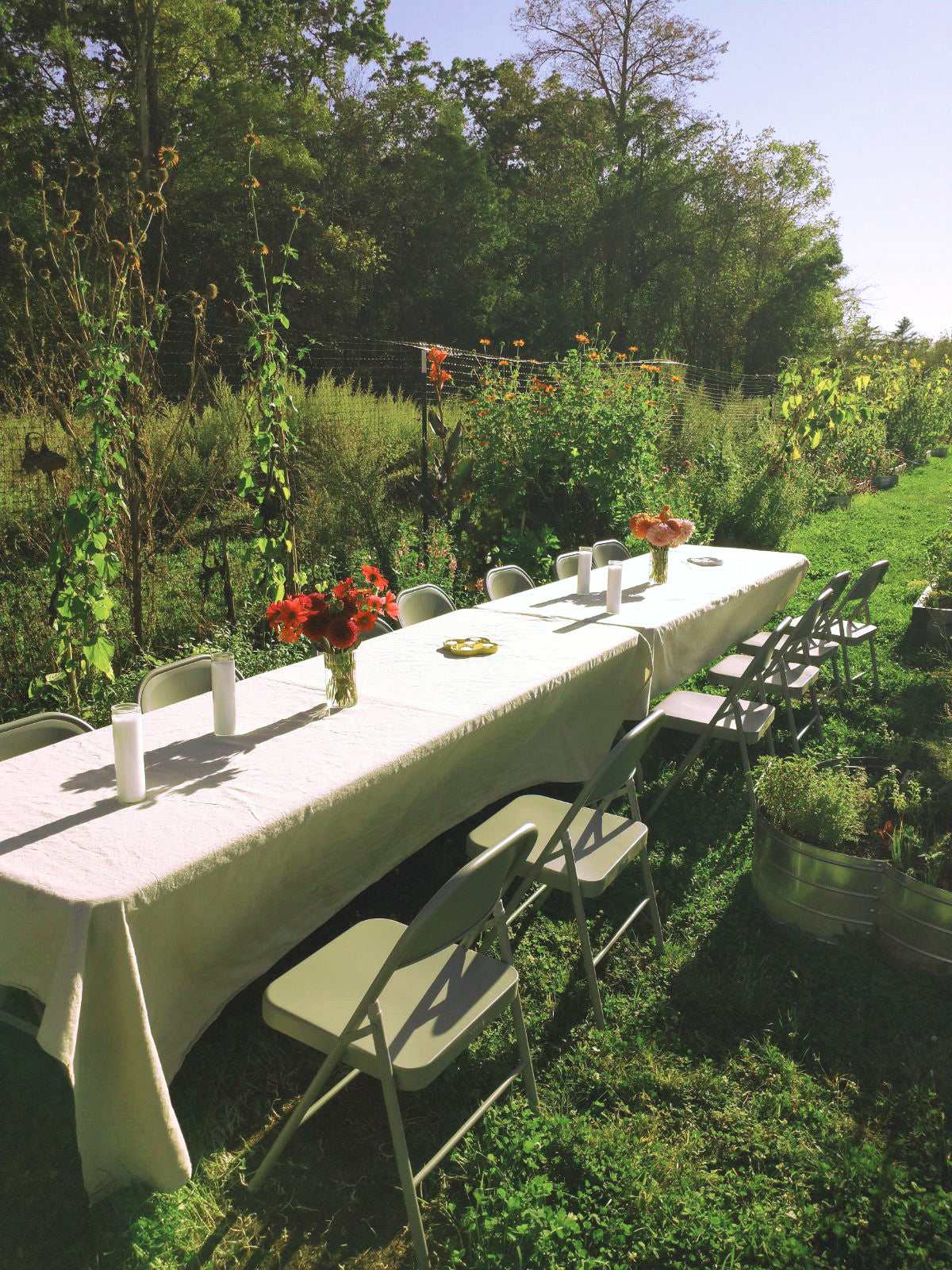 Private Rental of our Gardens