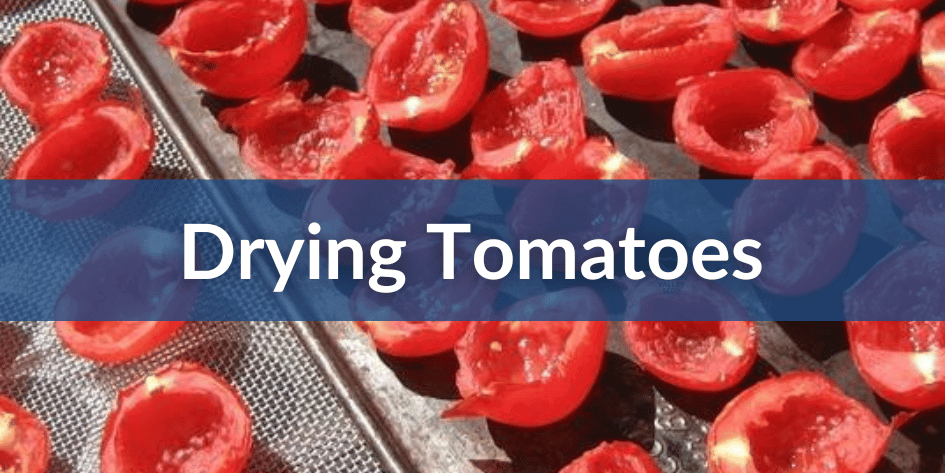 Mobile Drying Tomatoes (1).png__PID:dfe59b3e-c8cf-404e-a432-2c5945b8d5c5