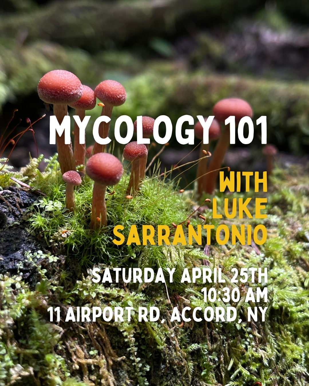 Mycology 101 with Luke Sarrantonio -4/25 - 10:30AM