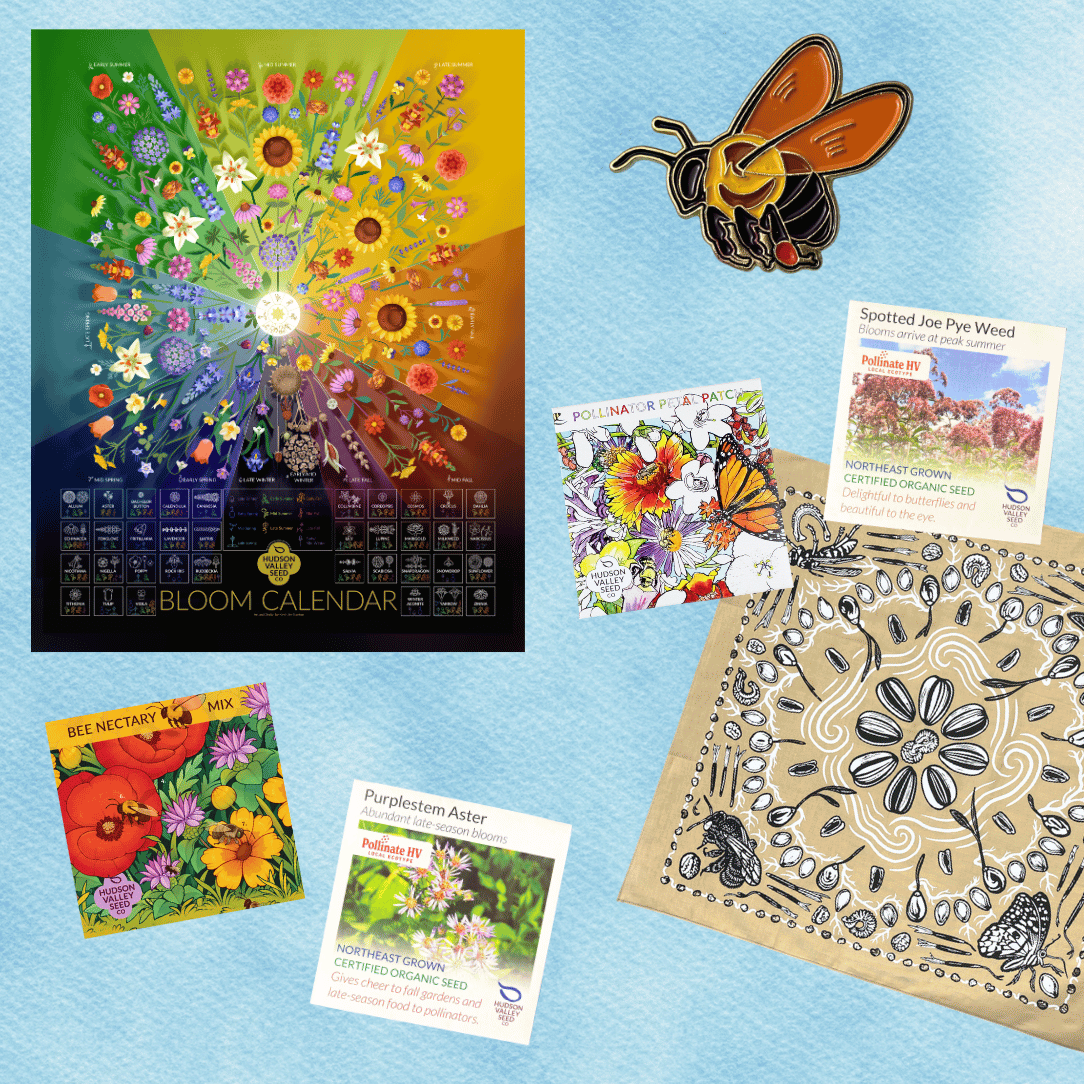 Bee Here Now Gift Set