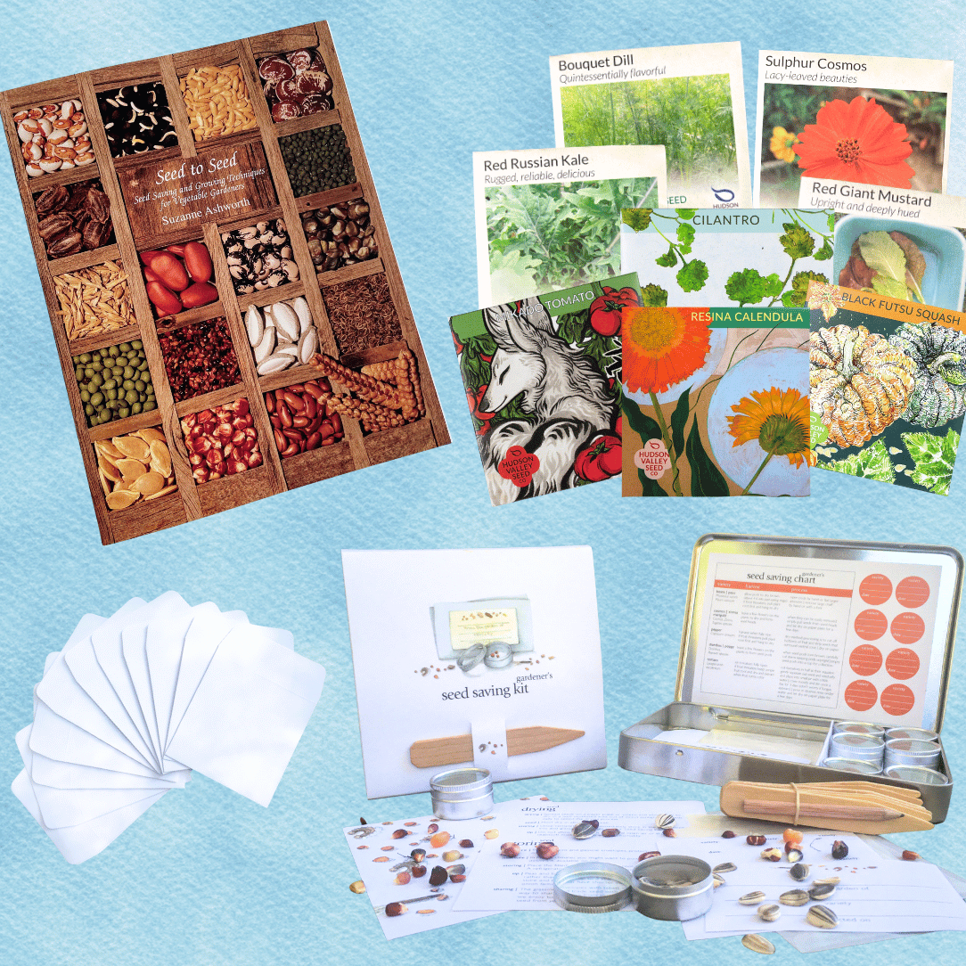 The Seed Saver&