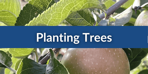 Planting Trees Mobile .png__PID:8900a563-ca53-40ef-b22b-6dce72e96a48