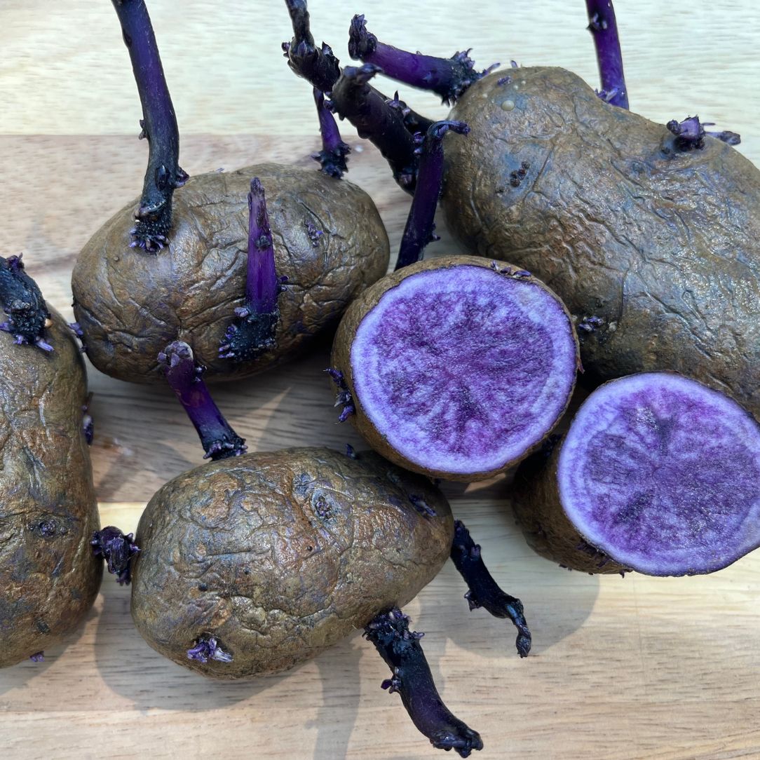 All Blue Potato