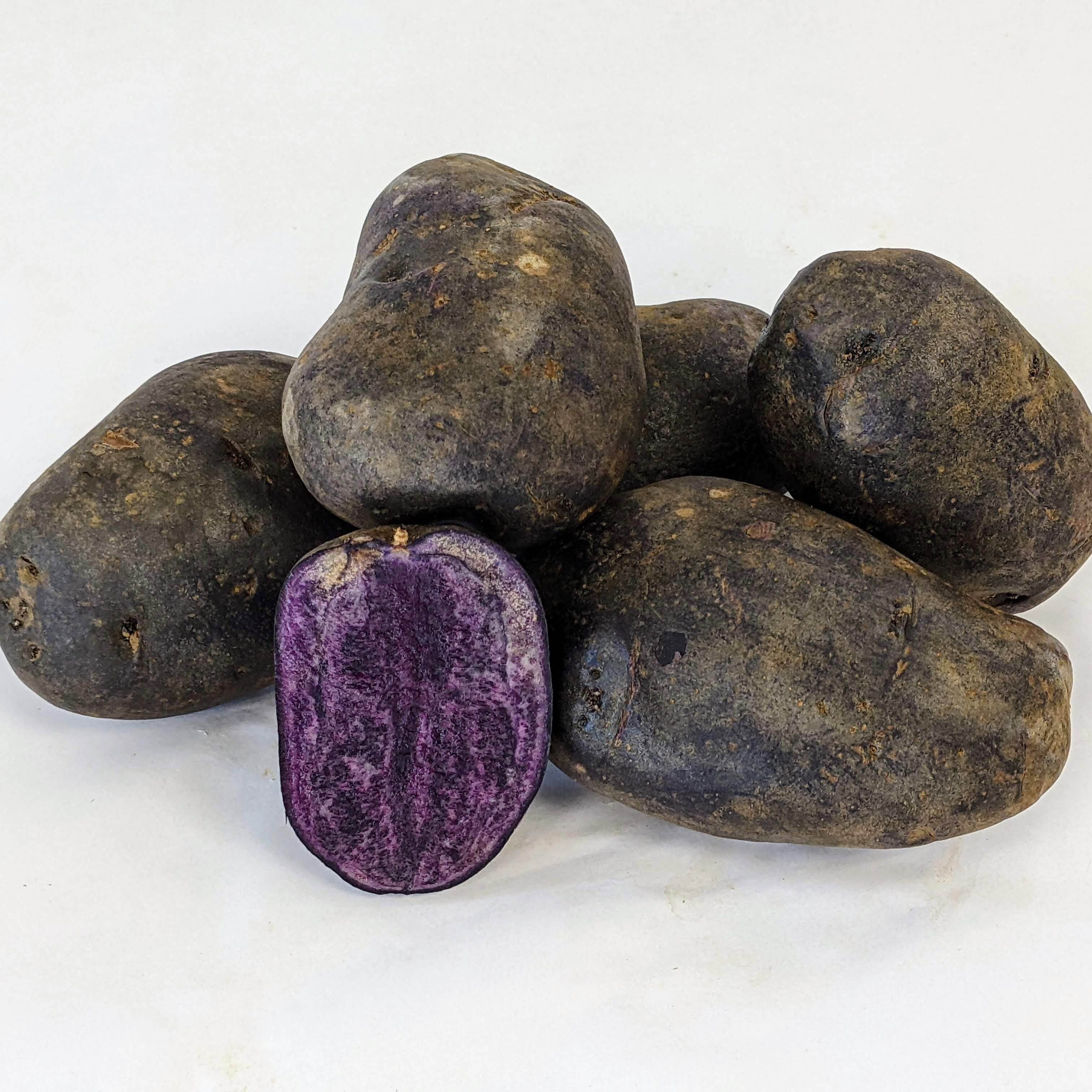 Purple Majesty Potato | Hudson Valley Seed Company
