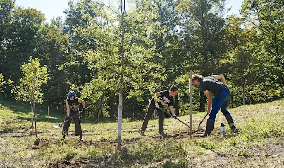 Tree Planting with Pollinate HV - 4/25/26 - 1:30pm