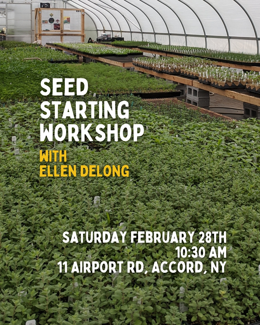 Seed Starting Workshop with Ellen DeLong 2/28 10:30AM