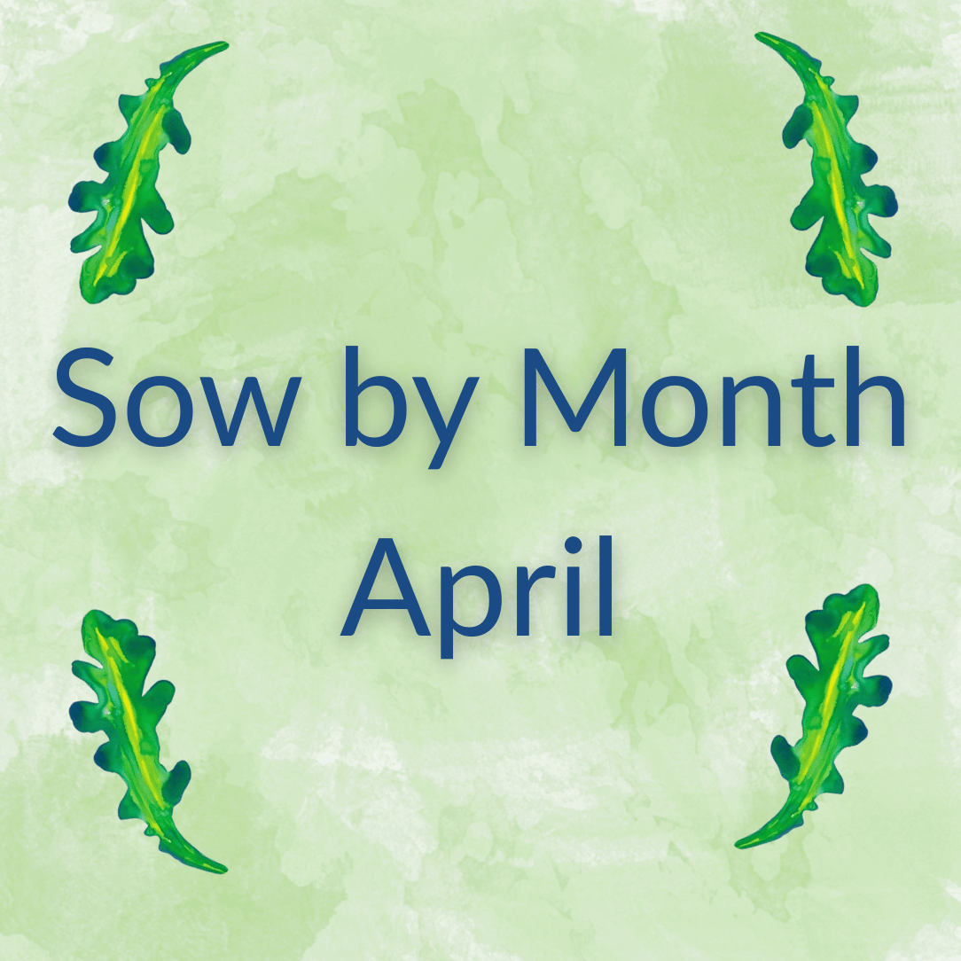 Sow by Month Bundle - April