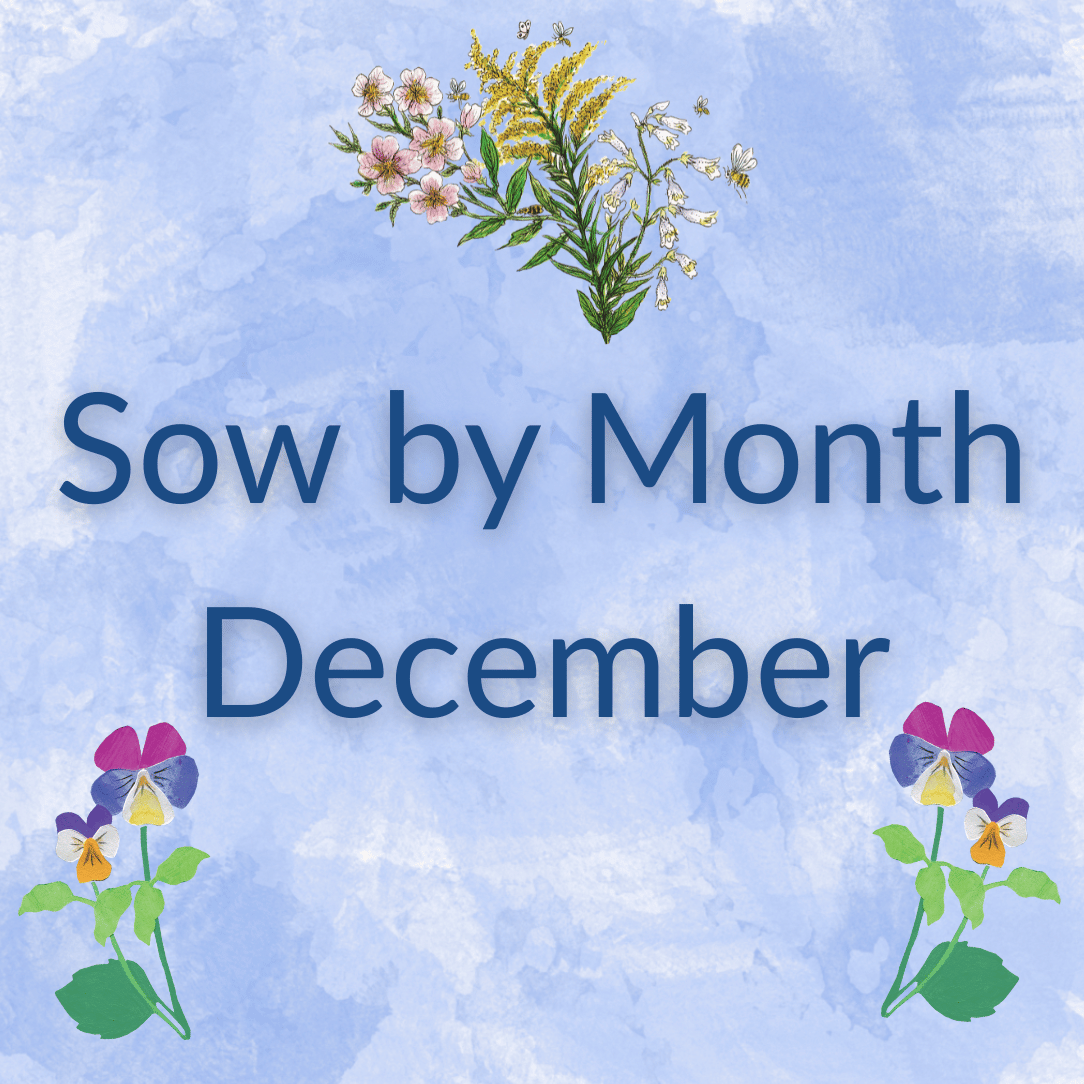 Sow by Month Bundle - December