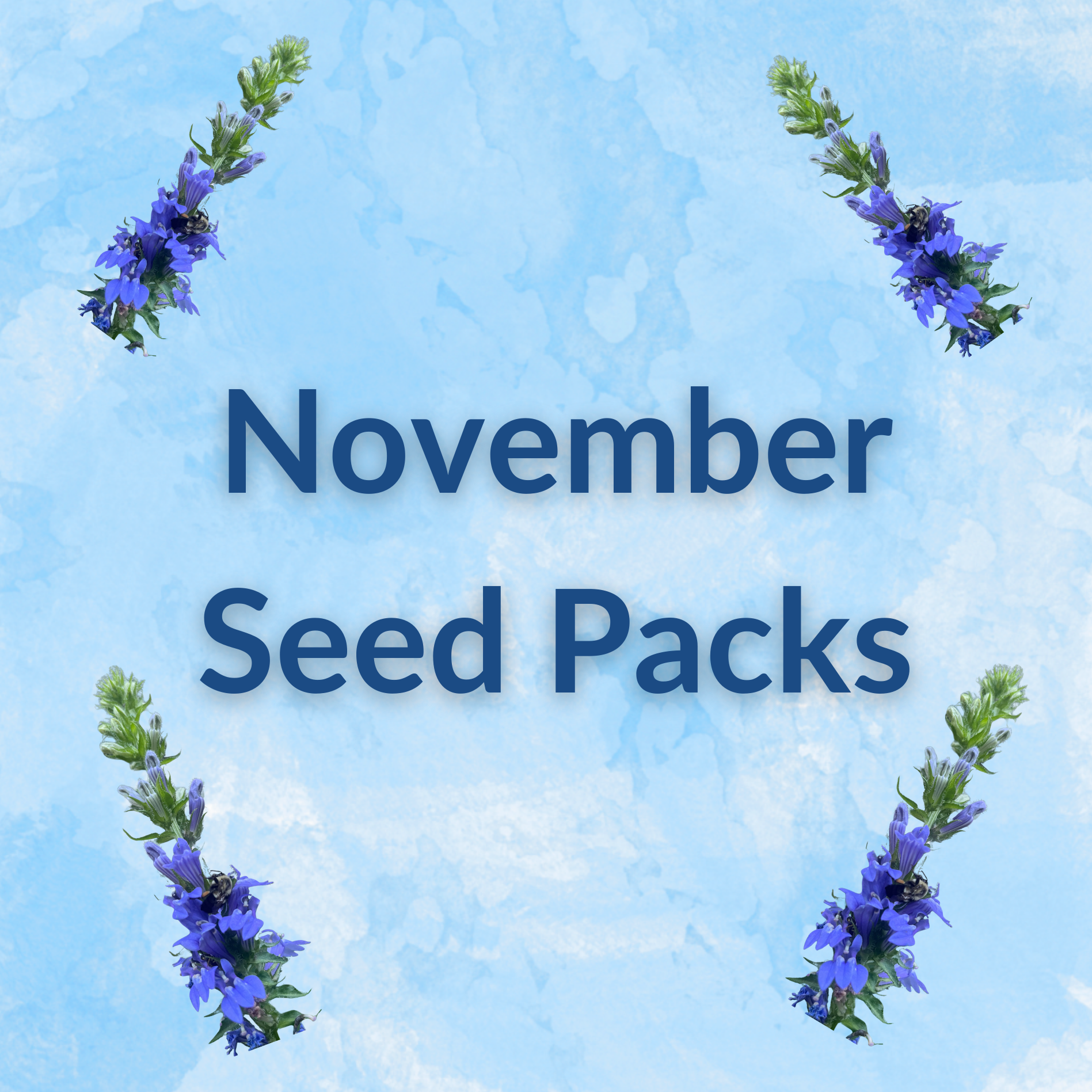 Sow by Month Bundle - November