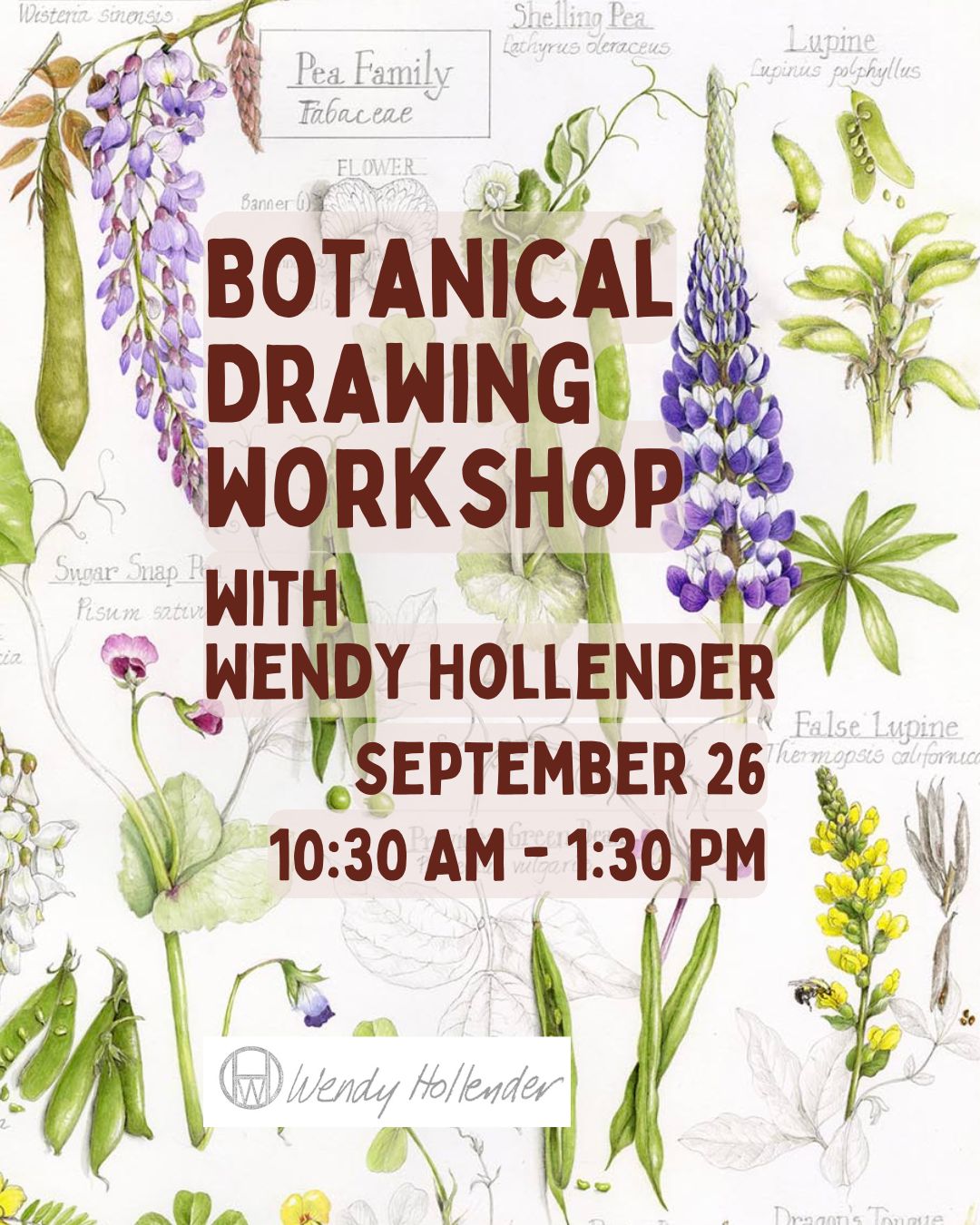 Botanical Drawing Workshop with Wendy Hollender - 9/26 - 10:30am