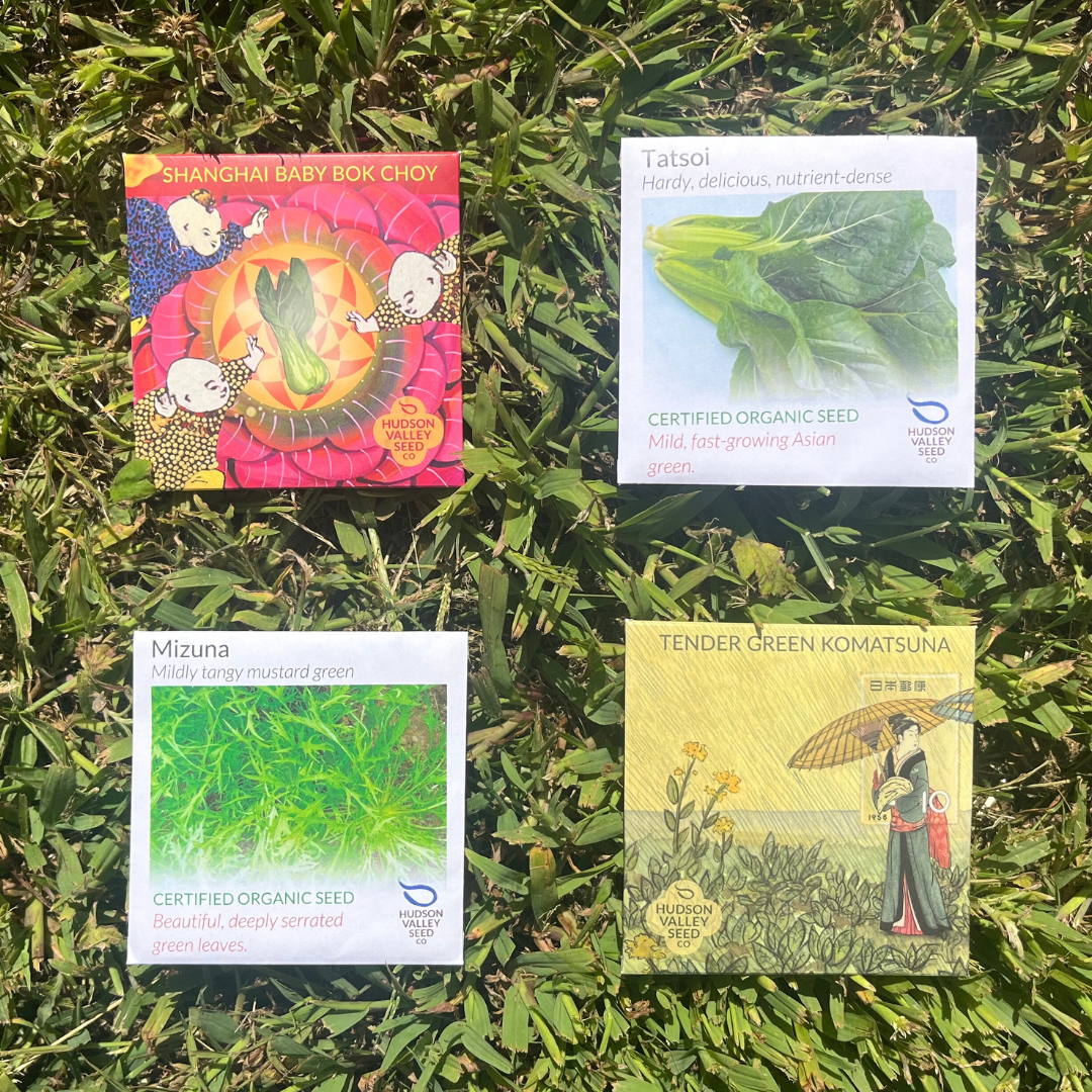 seed set plants Asian Greens Seed Set