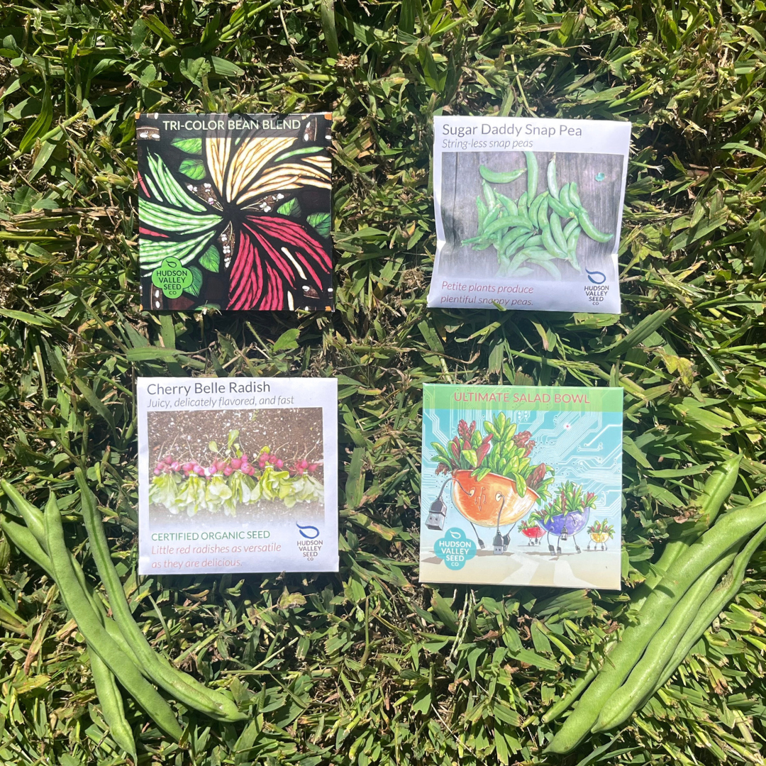 beginner vegetable garden seeds Beginners Veggie Garden Set