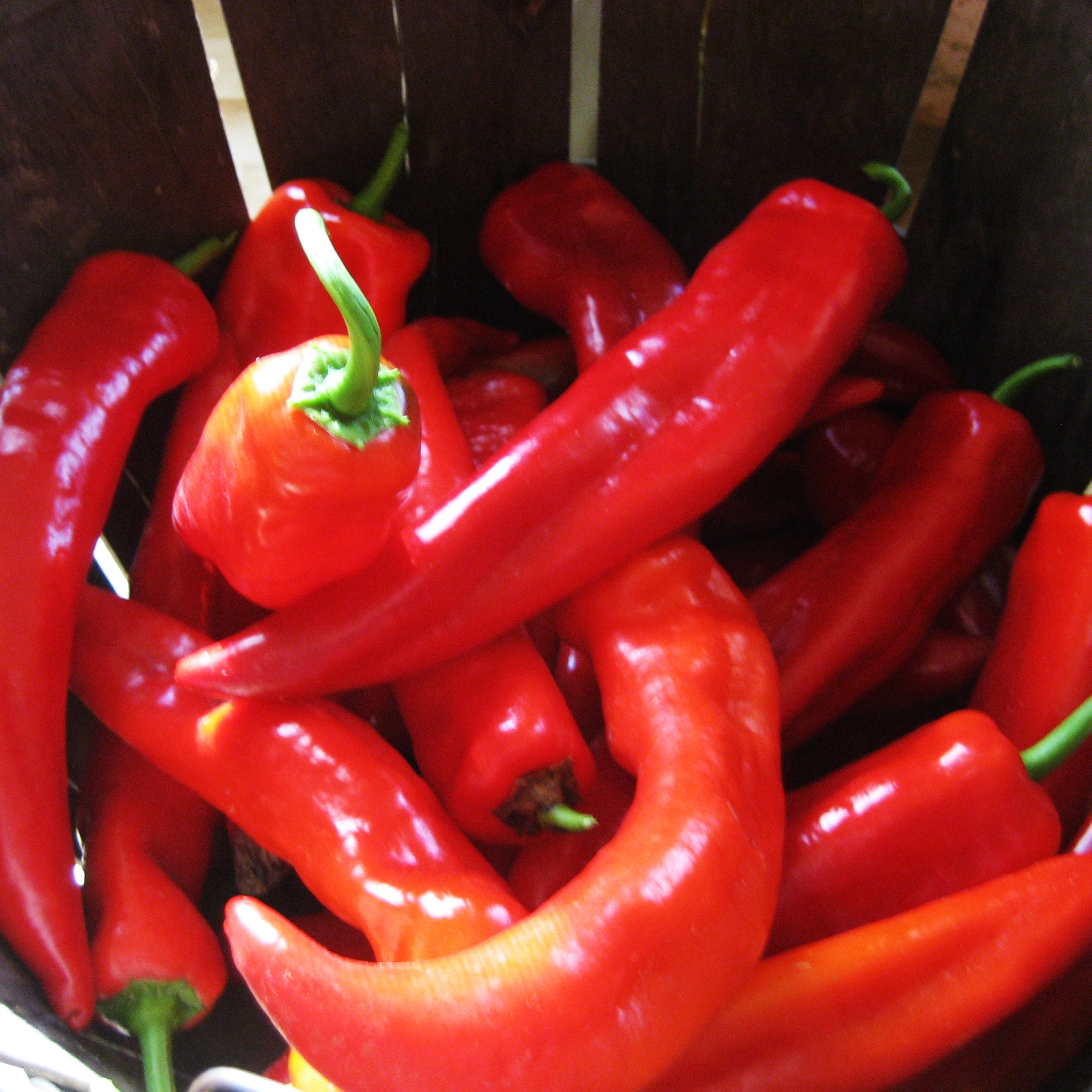 Bridge to Paris Pepper