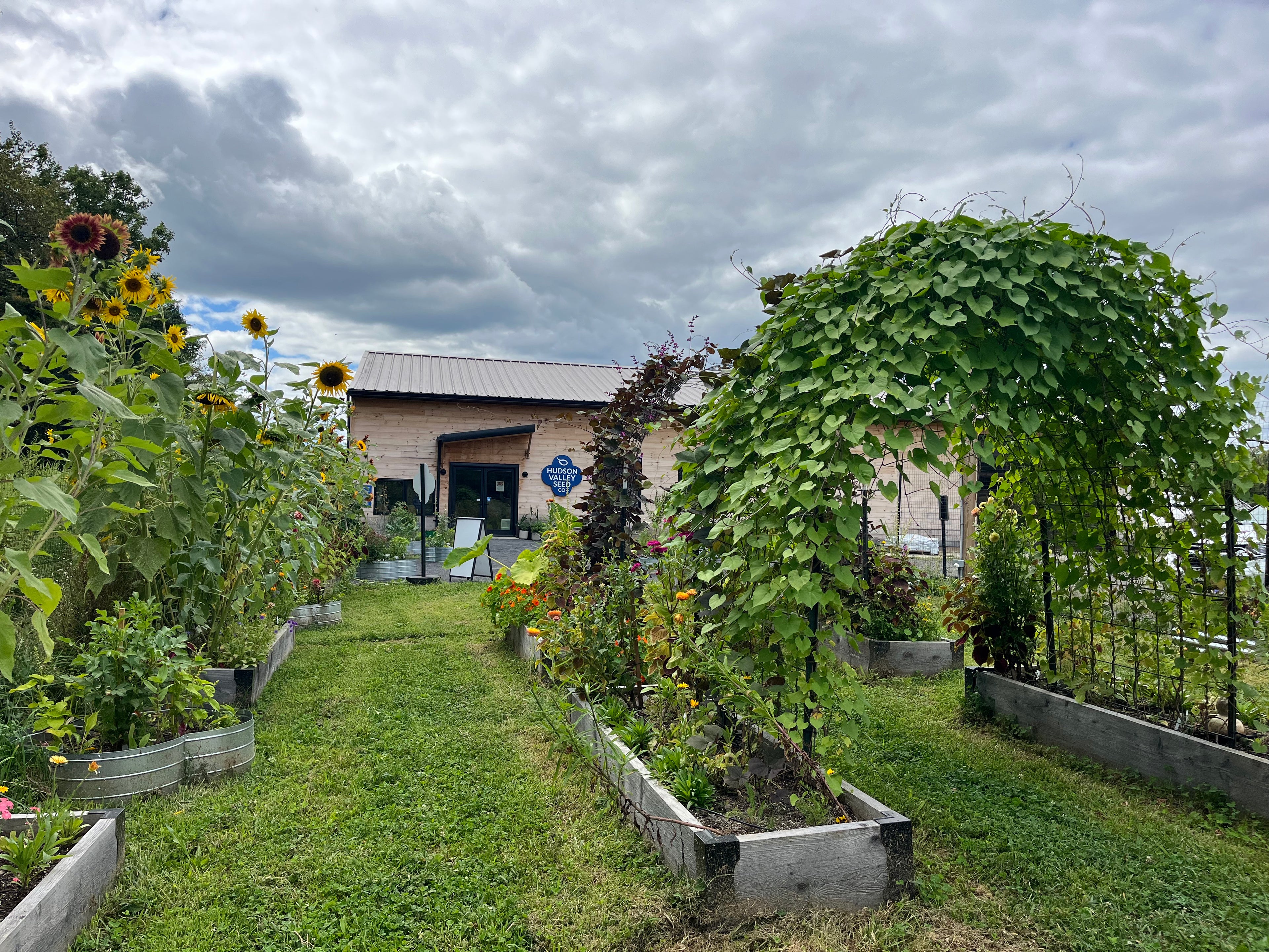Concerts in the Garden: Brother Jax & Matthew David - 8/21 - 6PM
