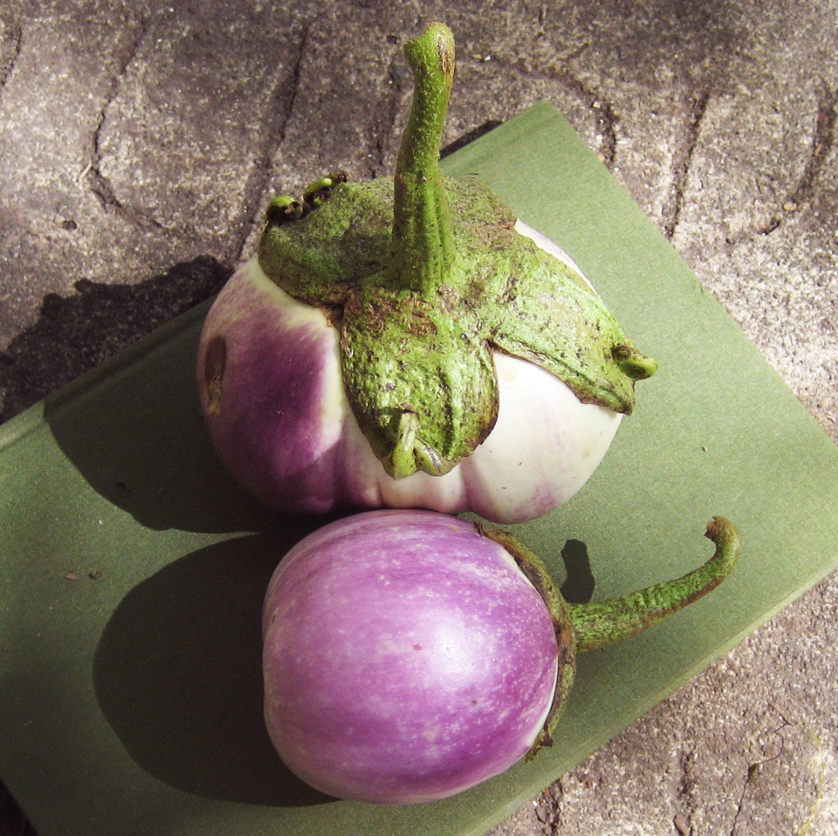 Rosa Bianca Eggplant