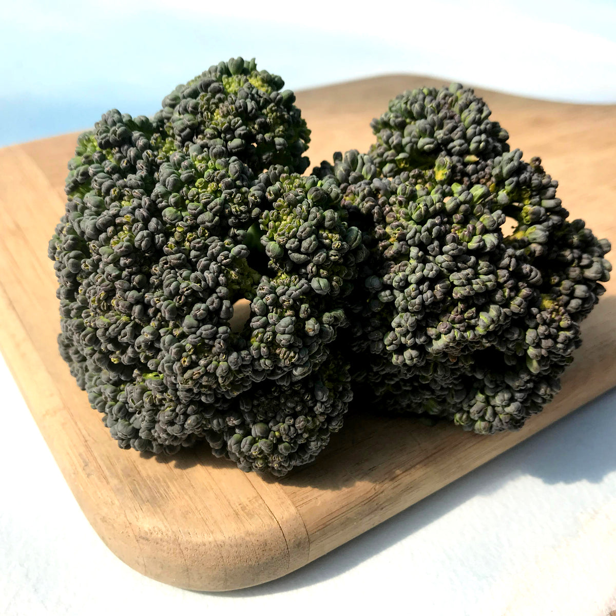 Solstice Broccoli