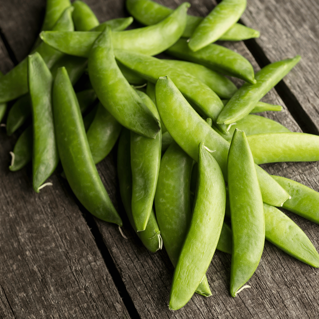 should you soak sugar snap pea seeds before planting Sugar Snap Pea