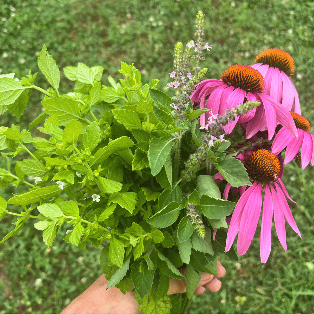 Tea Garden Mix | Hudson Valley Seed Company
