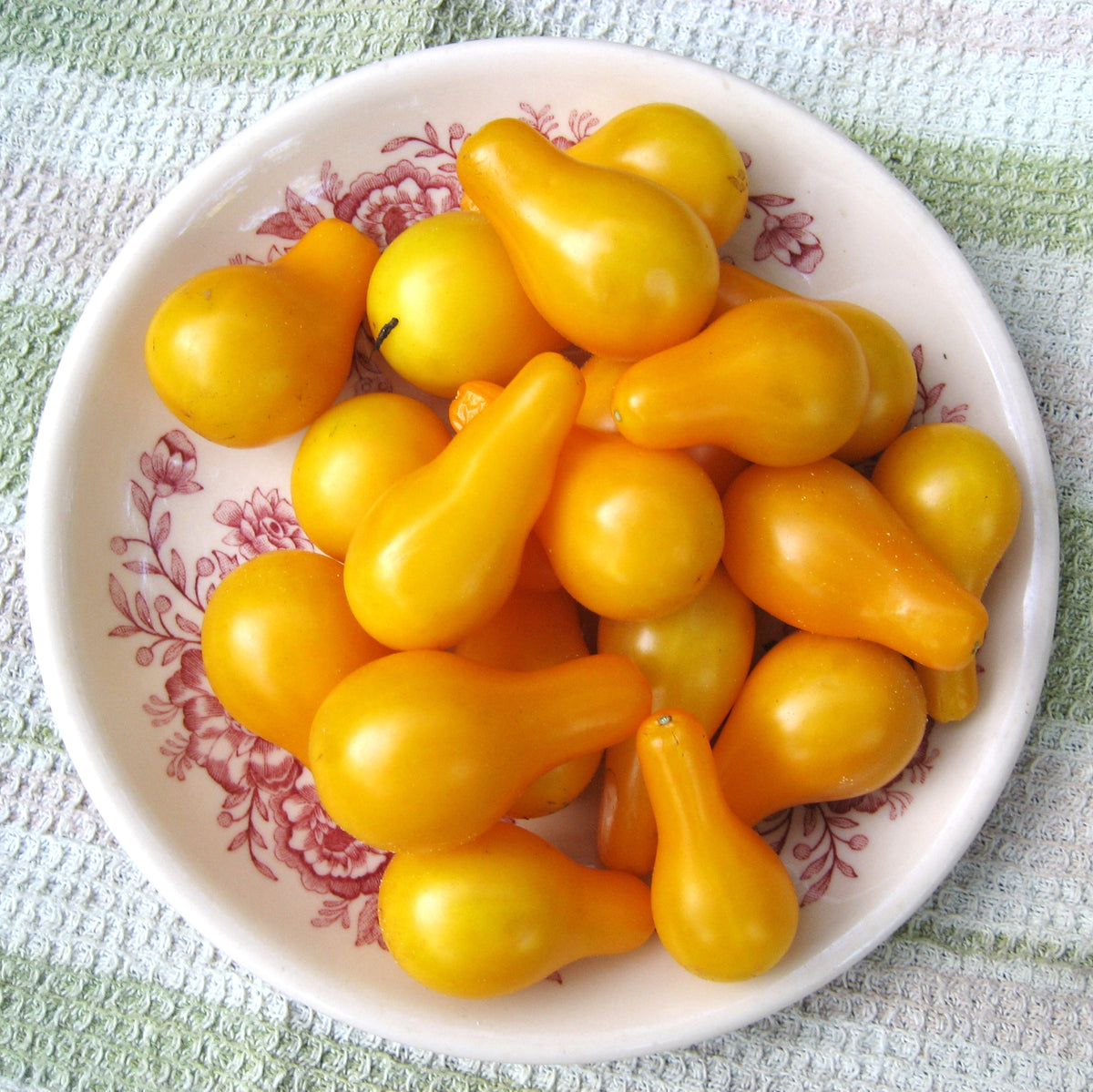 Yellow Pear Cherry Tomato