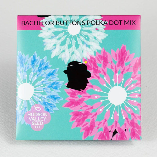 Bachelor Button Polka Dot Mix vendor-unknown