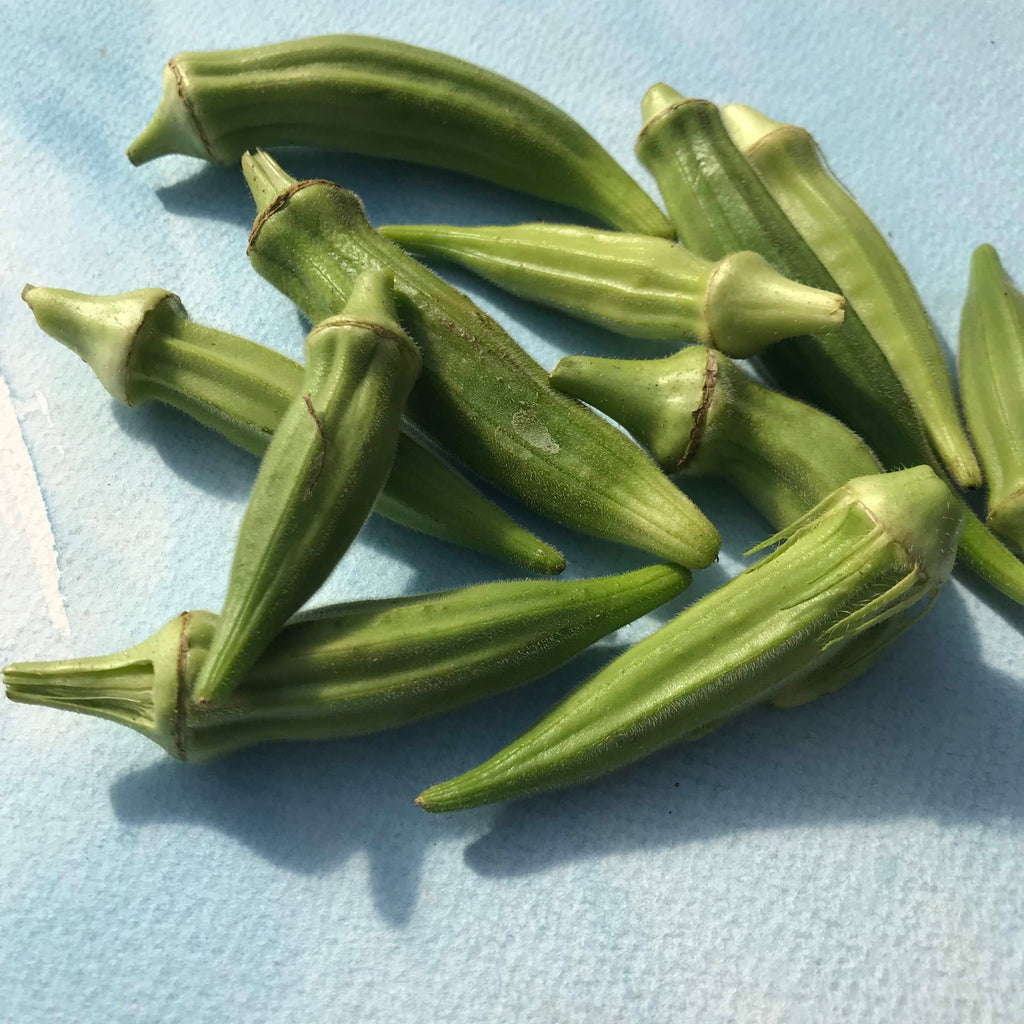 Clemson Spineless Okra Organic Seeds Hudson Valley Seed Company