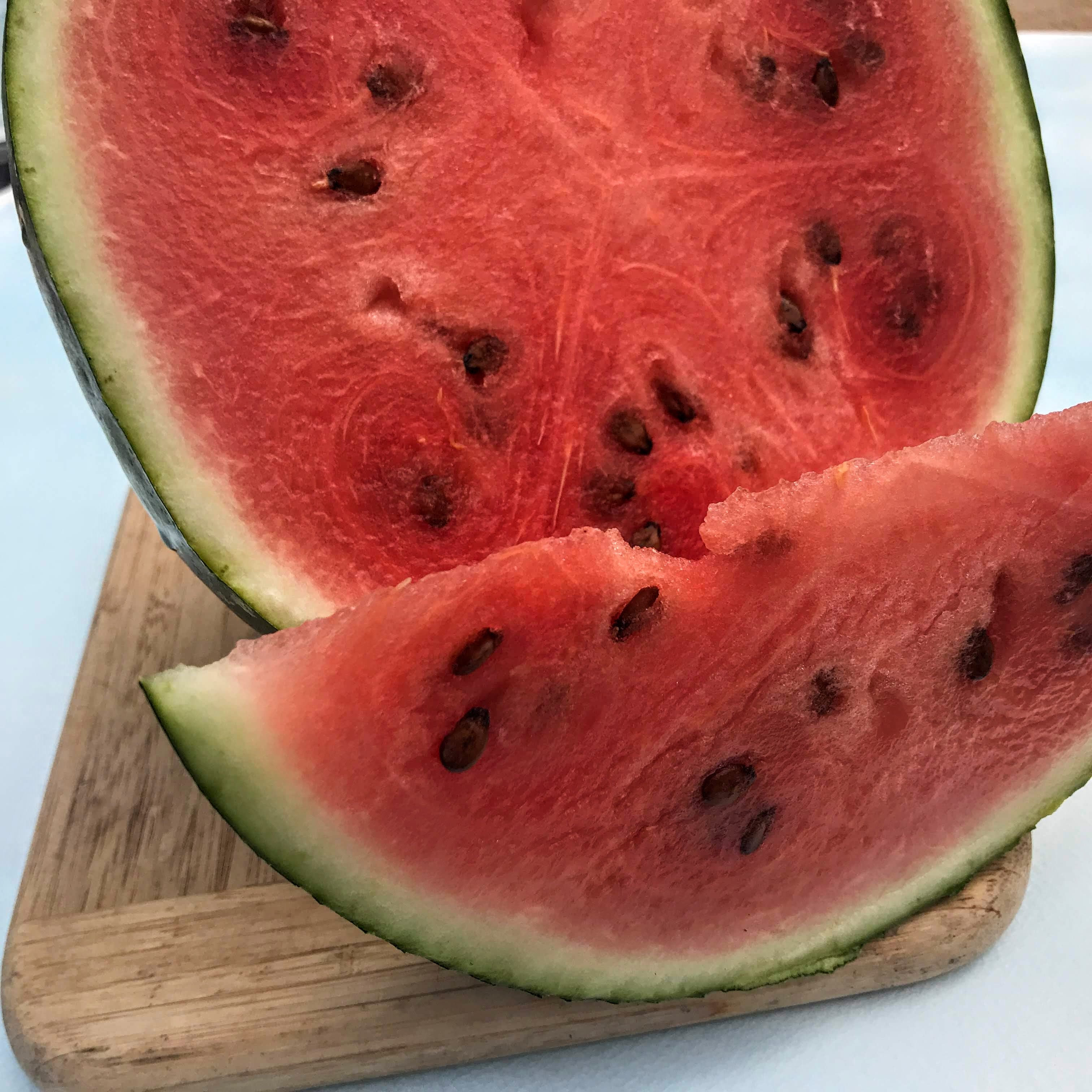 Sugar Baby Watermelon Organic Seeds – Hudson Valley Seed Company