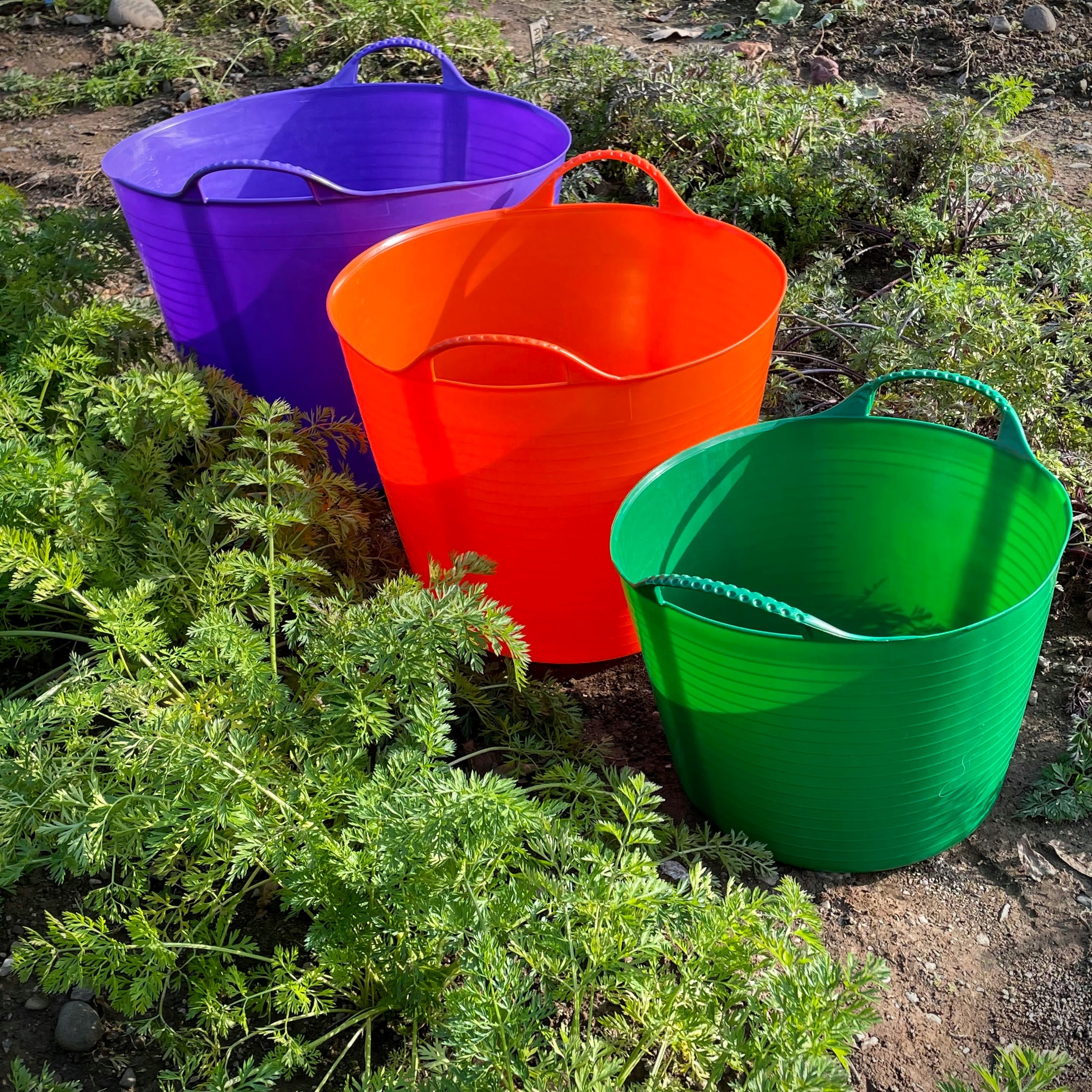 plastic tubs for planting 6.9 Gallon Garden Tub