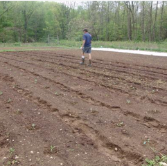 Seed Farm Intern Notes: Soil