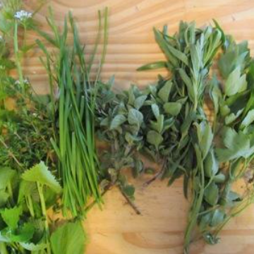 Flavor, Fragrance, Farmacy: Herbs!