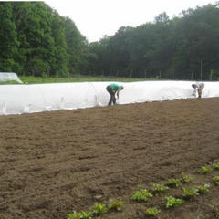 3 Uses for Row Covers in the Spring Garden