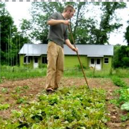 5 Misconceptions About Growing Lettuce