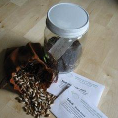 Folk Seeds and Seed from Folks