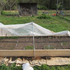 Raised Beds Part II: Foot by Foot