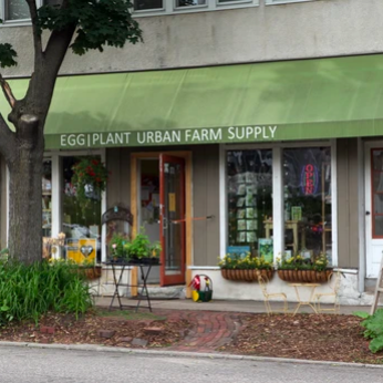 Cheesemaking - EggPlant Urban Farm Supply