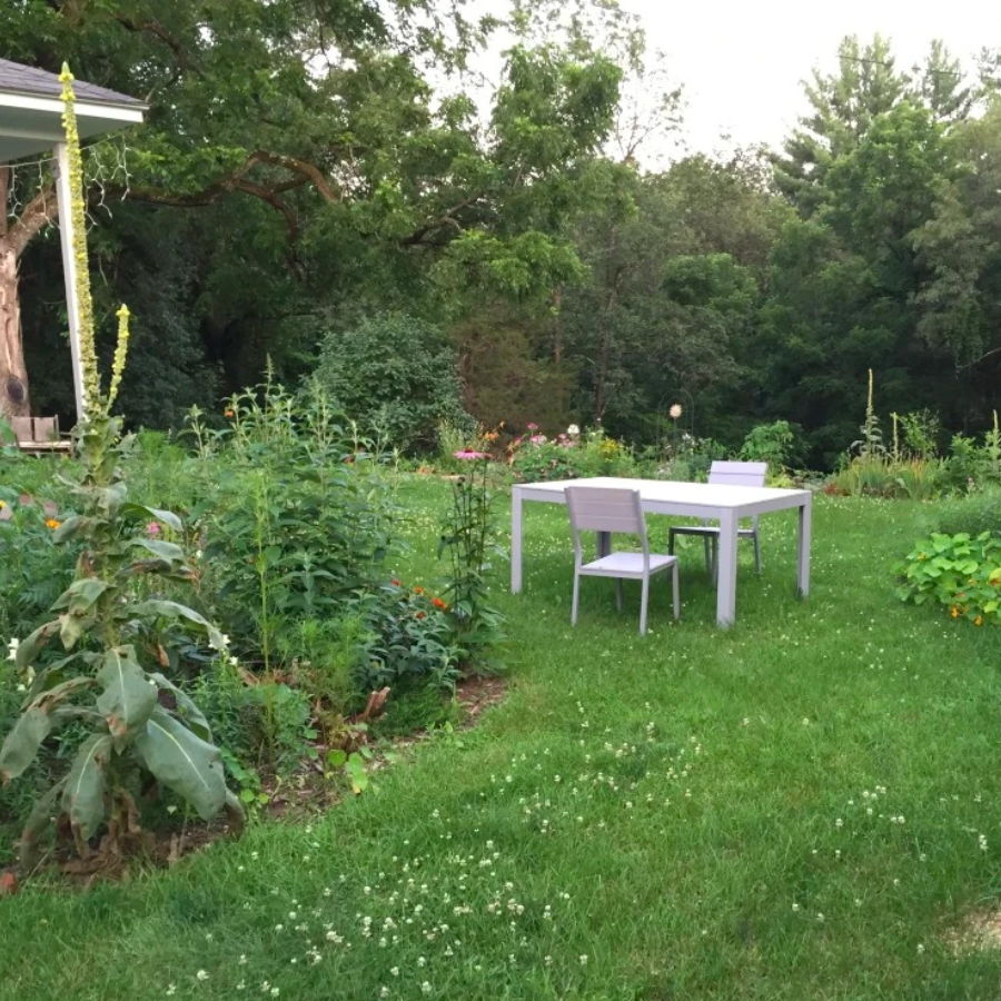 10 Tips for a Carefree Garden – Hudson Valley Seed Company