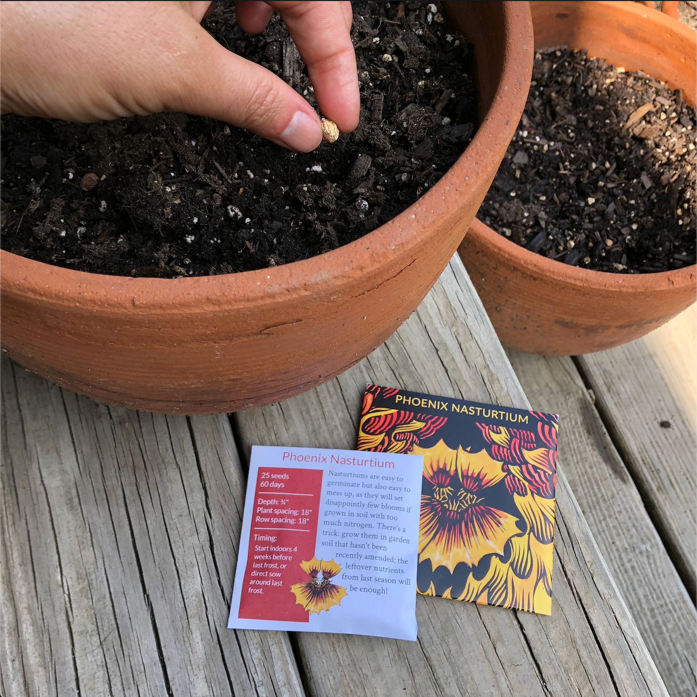 Sowing in the heat