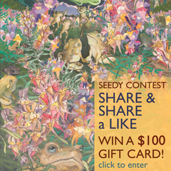 Seedy Contest: Share and Share a Like!