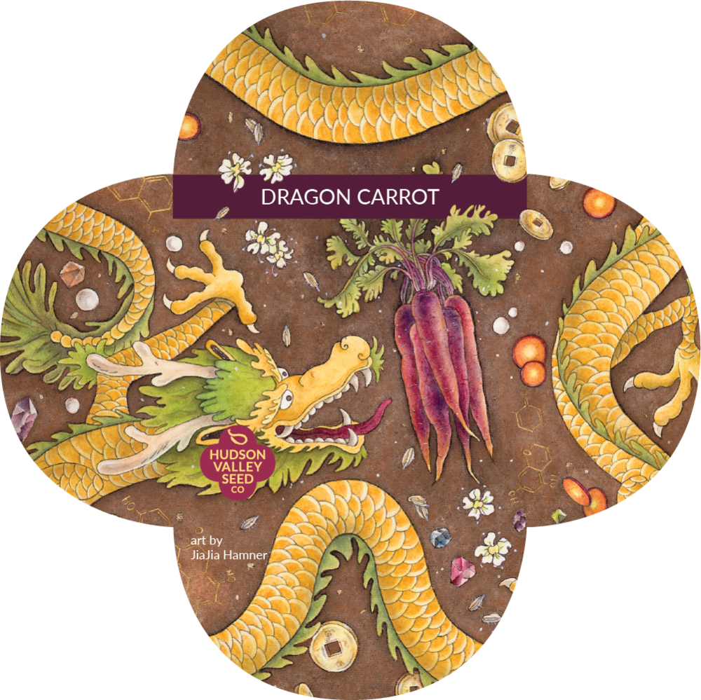 Meet The Artist: Dragon Carrot | Hudson Valley Seed Company