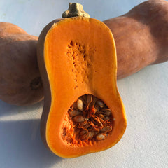 The Story Of A Seed: Honeynut Squash