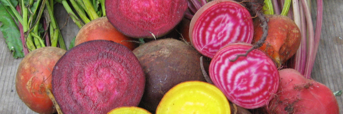 Seeds to Sow for Fall