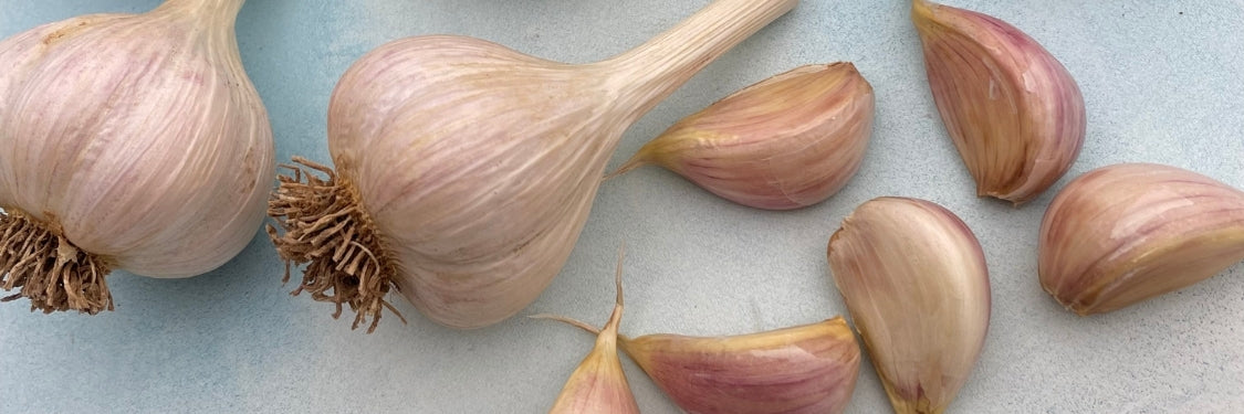 Garlic &amp; Shallots