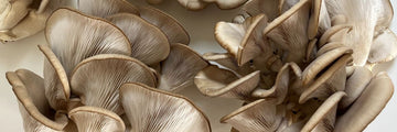 Mushrooms