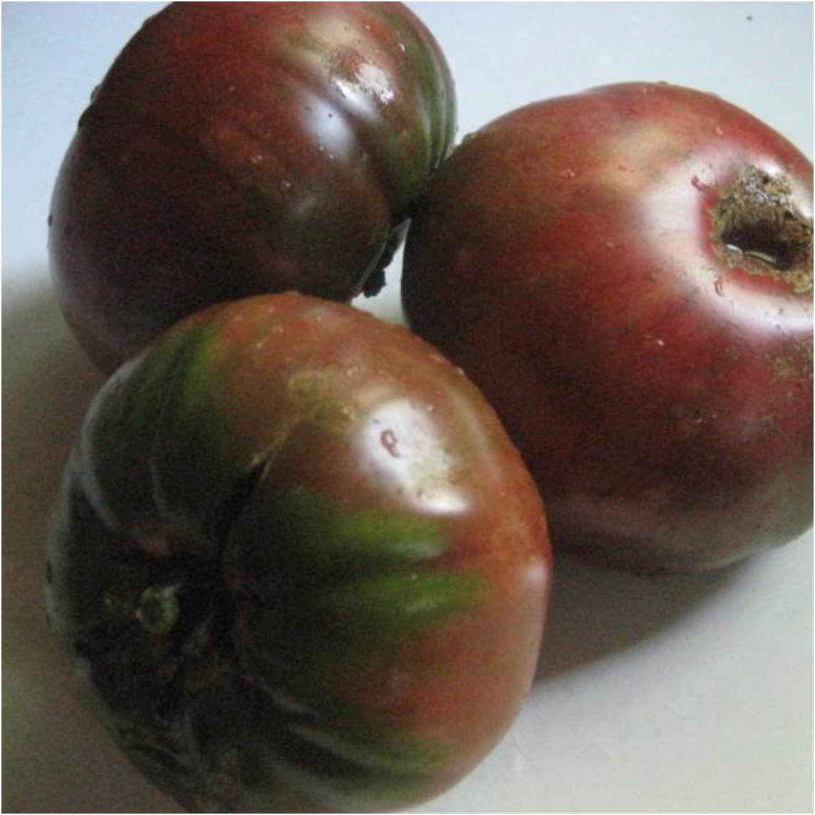 Slicing Tomatoes