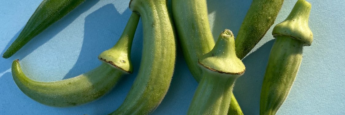 Okra